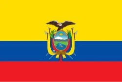 Home country flag